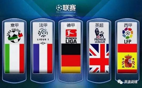 他们的整体
